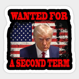 Vintage Wanted For A Second Term American Flag Sticker